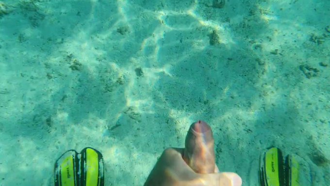 Aquatic appetizer.
Snorkel snarfing.

#ThwackItThursday

https://t.co/FkmiCIUNvQ