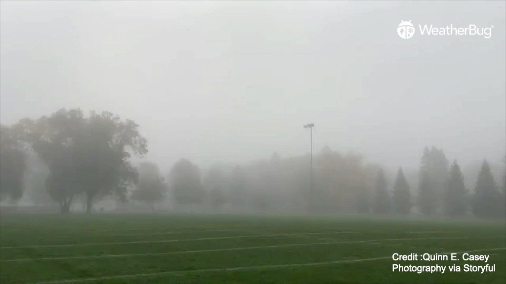 A misty morning greeted the Minneapolis-St Paul area of Minnesota on October 4.

#weatherbug #knowbefore #wx #weather #NOAA #NWS #stormchasing #Stormchasers #severeweather #extremeweather #mothernature #thunderstorm #mysteriousnature #amazingearth #forceofnature https://t.co/L5dXZIg1sg
