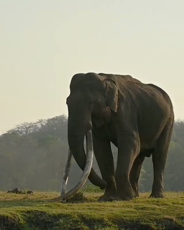Thank you @Amitsen_TNIE for sharing this incredible view from Karnataka!
#DekhoApnaDesh
@KarnatakaWorld