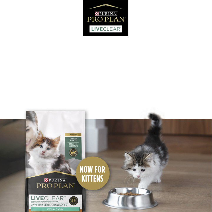 Pro Plan Cat (@ProPlanCat) / X Pro Plan Cat (@Proplancat) / X
