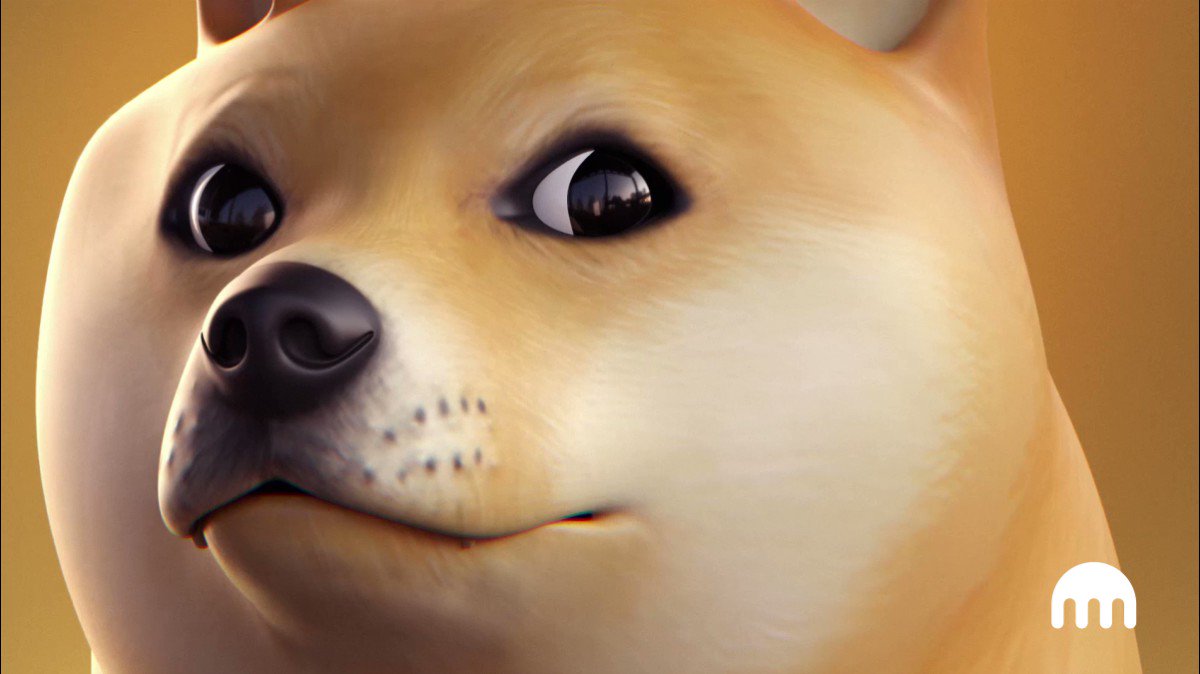 facerig doge facerig doge