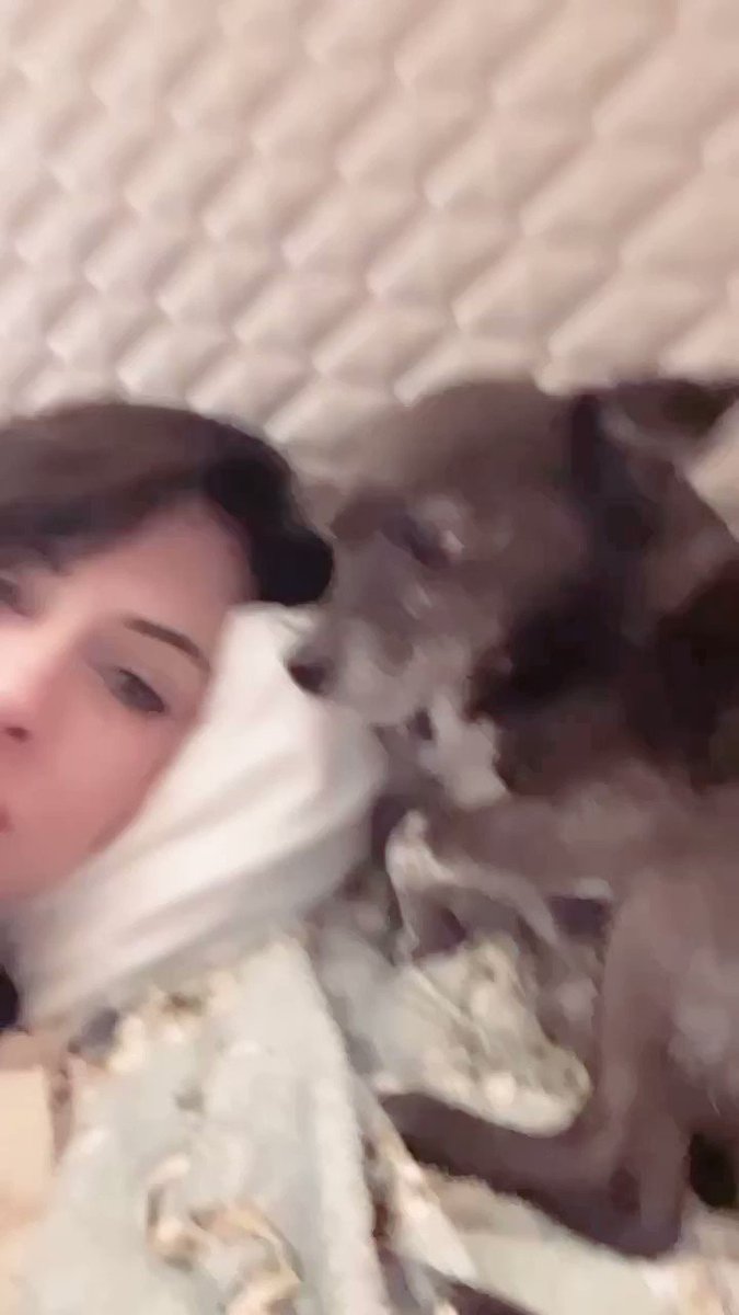 Anna De Ville’s pics and videos