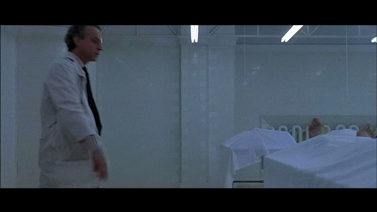 Happy birthday to Brad Dourif and only Brad Dourif! 