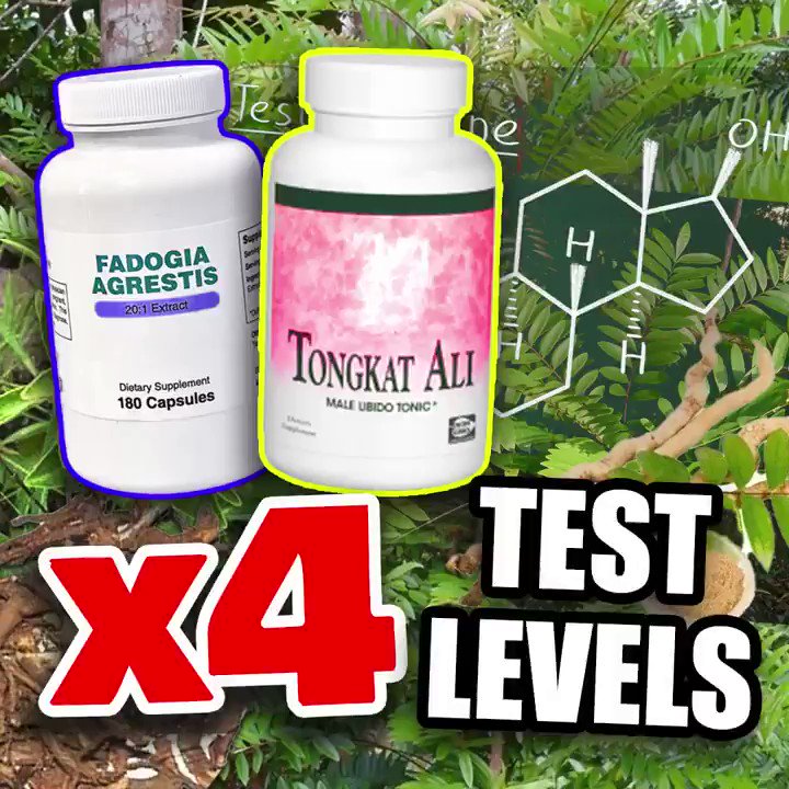 More Plates More Dates on Twitter "QUADRUPLING Of Natural Testosterone