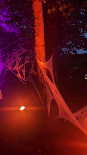 Halloween Haunt ? https://t.co/OCeol76ZS5