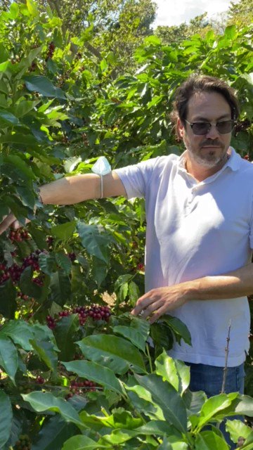 Rodner figueroa jugo verde