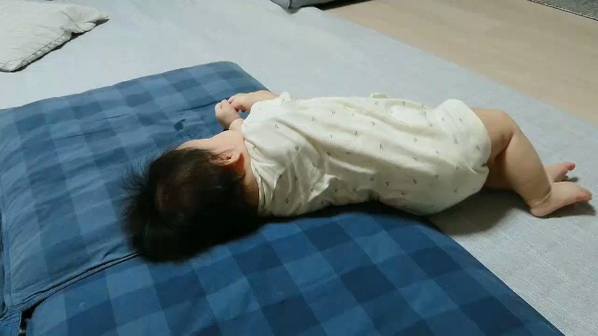はいはいの前兆 なプリケツ運動 えこりの連絡帳