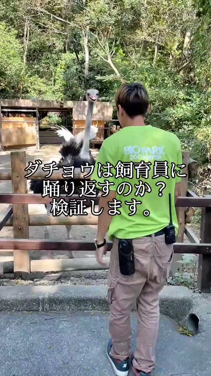 ダチョウよりもダチョウな飼育員 これは笑う 面白すぎ 21年10月28日 ウーマンエキサイト 1 2 ダチョウよりもダチョウな飼育員 これは笑う 面白すぎ 21年10月28日 ウーマンエキサイト 1 2