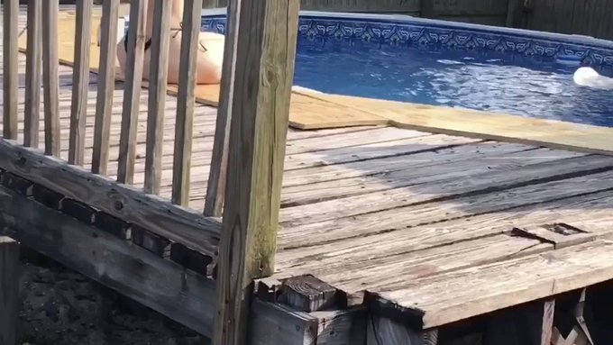 Just sold! Peeping Tom Gets Punished With Pussy https://t.co/ovzMHH79or #MVSales https://t.co/hygY16