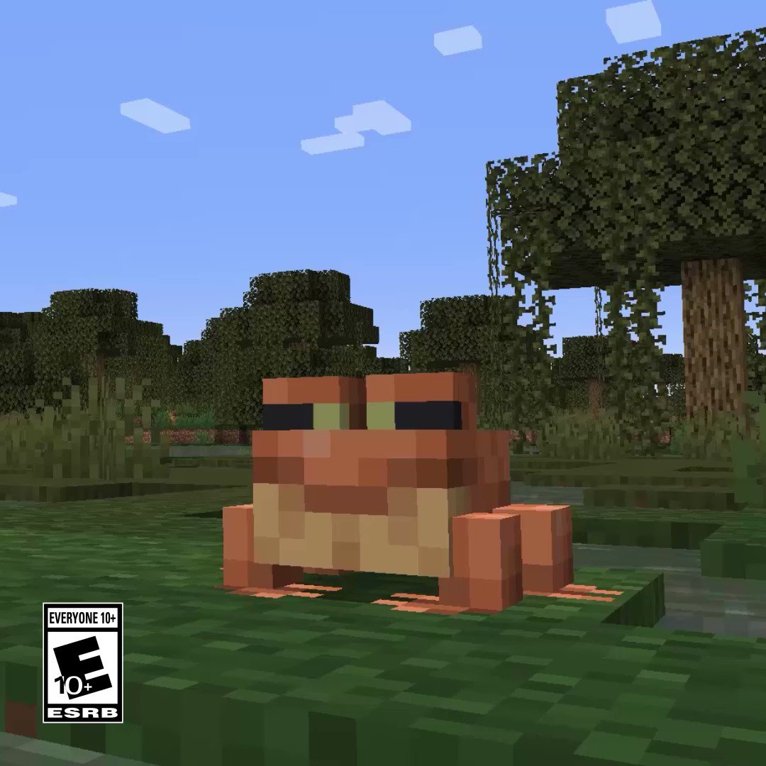 Minecraft on X: Ribbit! That's no frog in our throat, but it is