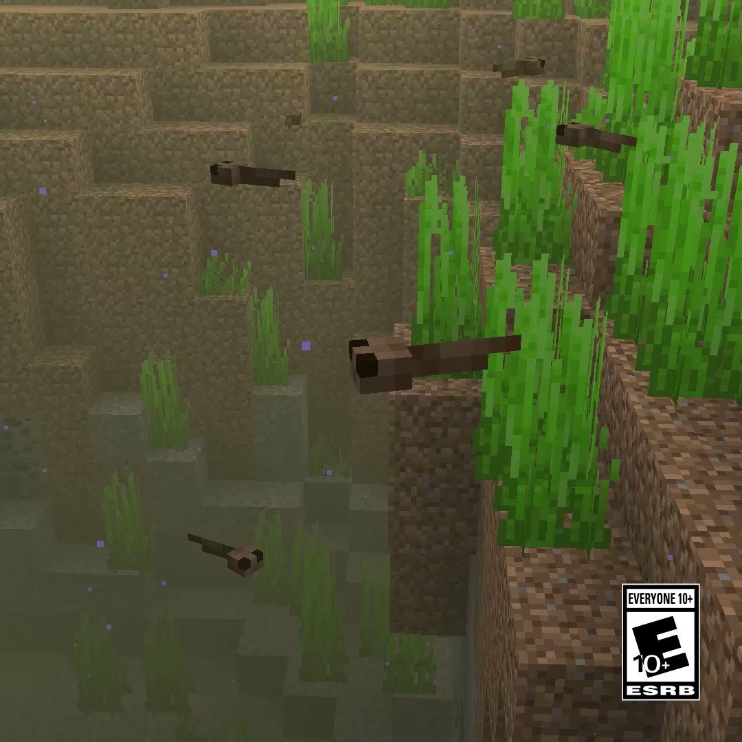 Minecraft on Twitter "We're also adding tadpoles! So tiny, so cute, so