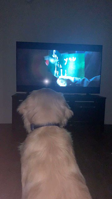 RT @therealsupes: Even Thor likes the new trailer for #TheBatman https://t.co/35UyF7Qe93