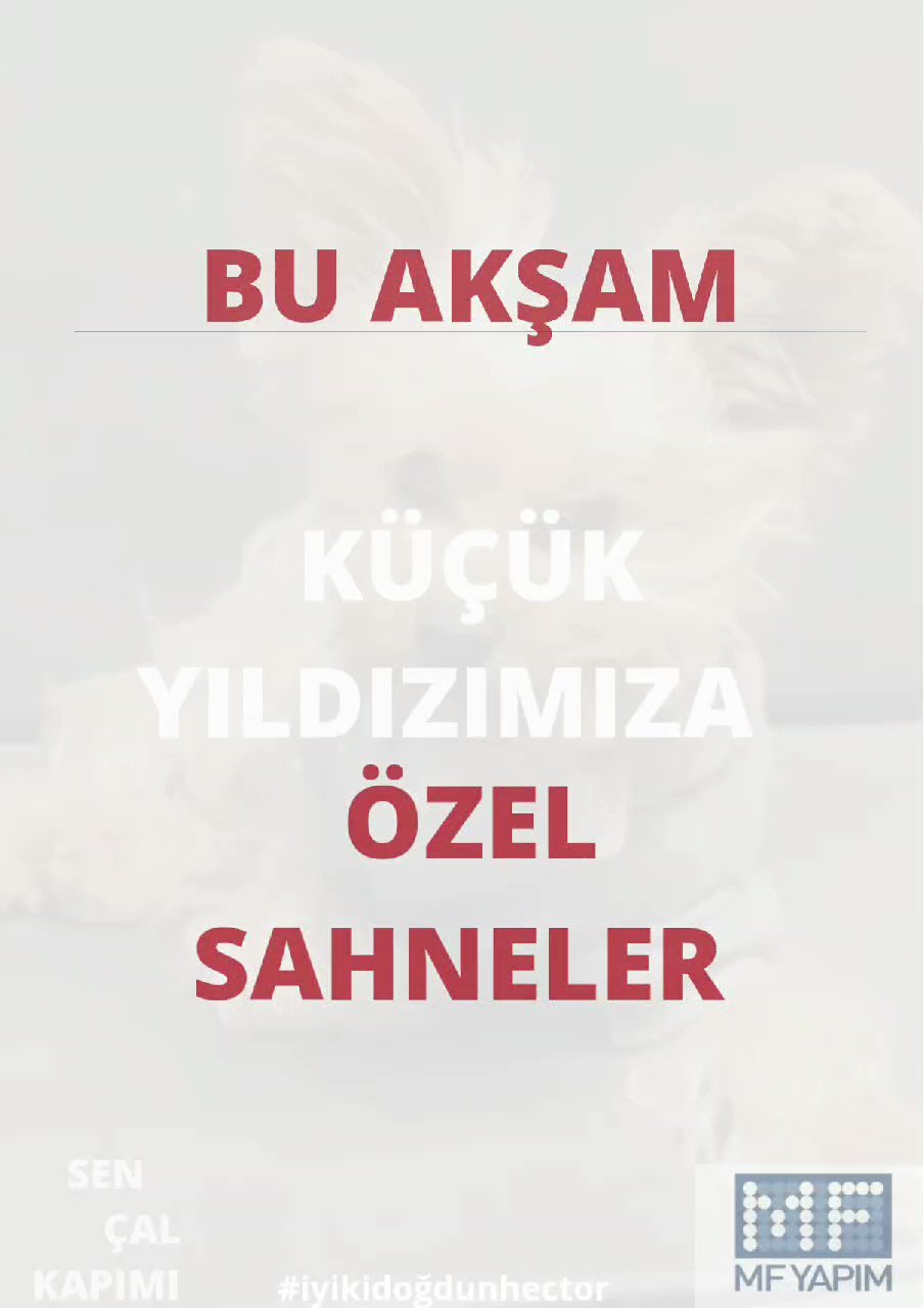 Romeo Bolat Sencalcapimi 2 Twitter