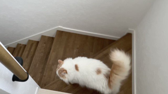 Rwh5rfjrslavwm Rwh5rfjrslavwm