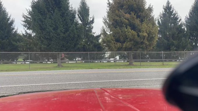 Dallas Scott Hanneman’s pics and videos