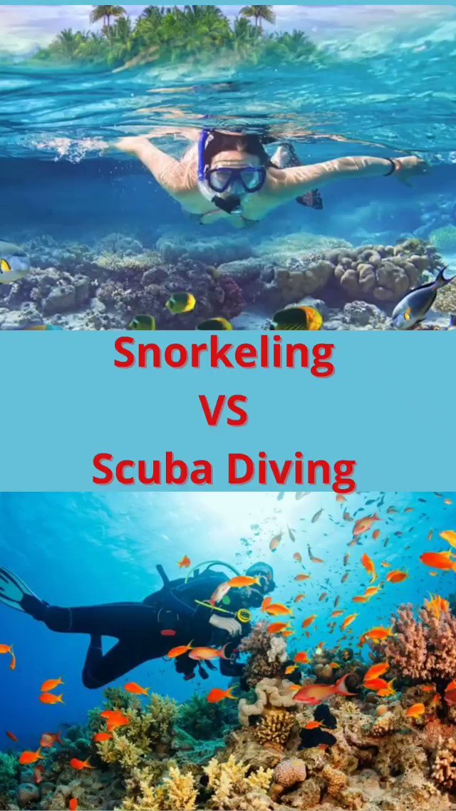 Vogue Leisure (@LeisureVogue) on Twitter photo 2021-10-20 09:00:10 Must try and tell us your experience...
Follow @LeisureVogue
#scubadiving #diving #snorkeling #sea #ocean #waterlife #reelitfeelit #reelkarofeelkaro #newreels #adventure #explore #fishing #lovers #nature #beautiful #trip #family #solo #friend #enjoy #instagram #photo #video Must try and tell us your experience...
Follow @LeisureVogue
#scubadiving #diving #snorkeling #sea #ocean #waterlife #reelitfeelit #reelkarofeelkaro #newreels #adventure #explore #fishing #lovers #nature #beautiful #trip #family #solo #friend #enjoy #instagram #photo #video