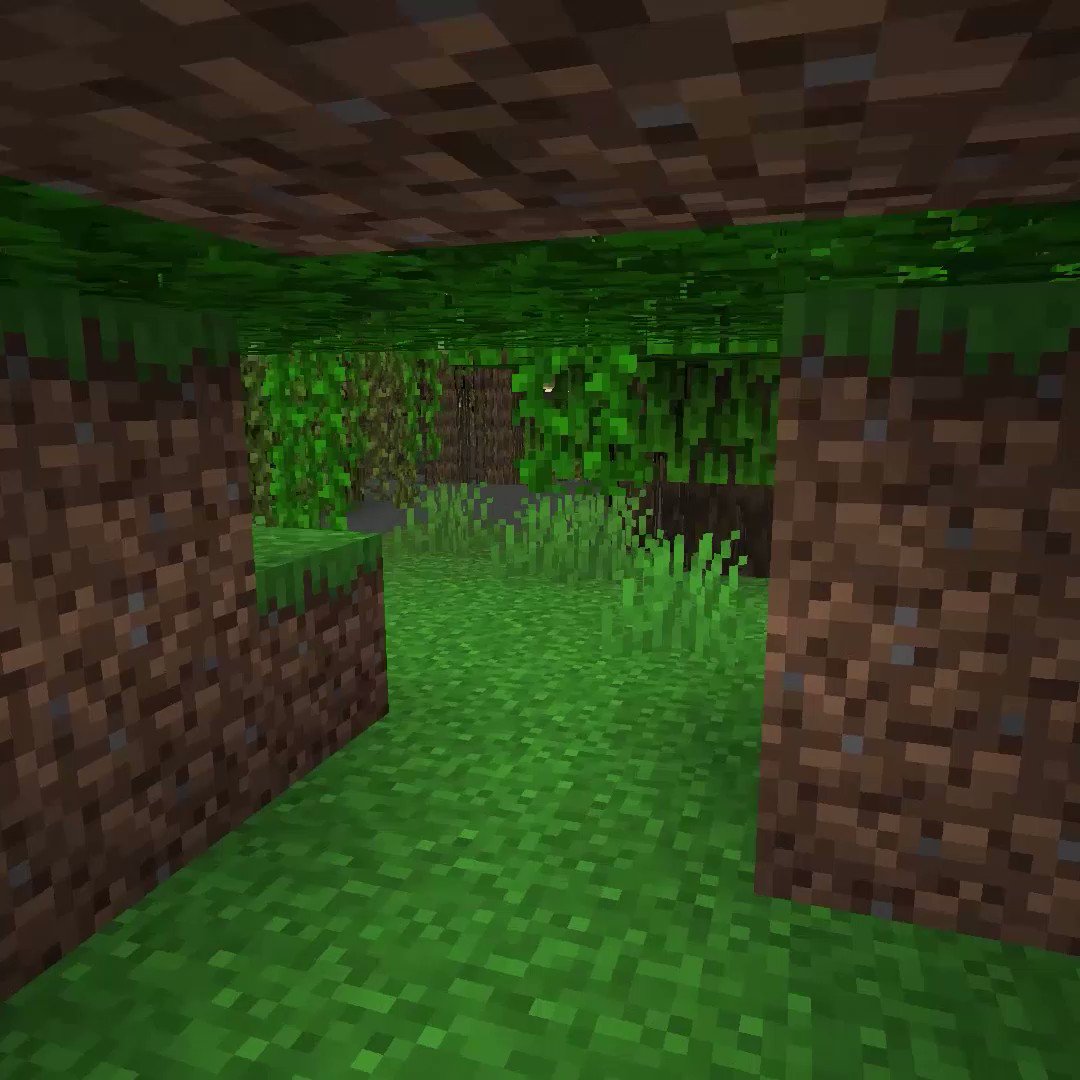 マインクラフト 日本公式 Minecraft Japan みなさん 根を張る時です ただ 今いる場所から動けなくなるという意味ではありません 来年のthe Wild Update ワイルド アップデート で これまでにないほど根が目立つ木 Mangroves マングローブ が追加