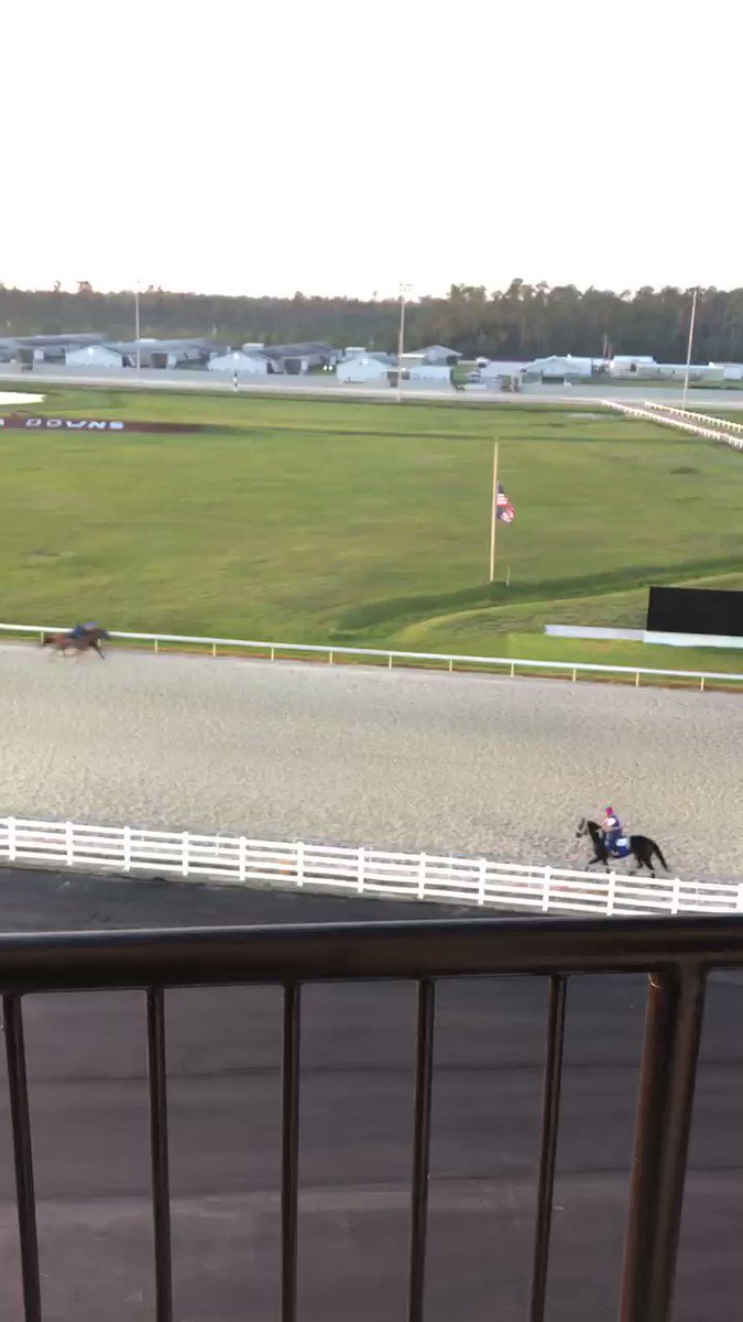 My favorite #Louisianabred Underpressure worked in company (outside) a couple of days ago, getting a nostril in front at the wire - don’t think this veteran chestnut doesn’t know where it is! https://t.co/hinpsObFd9