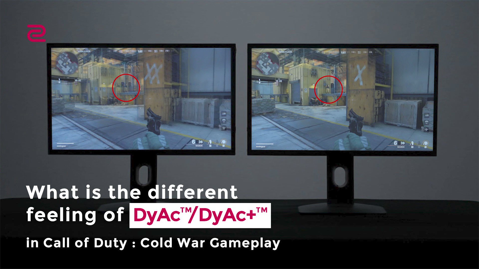 Zowie Zowiebybenq Twitter