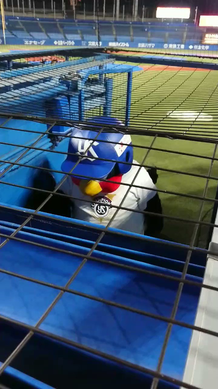 みぃみぃ MidiUmi(ミディウミ) ギャザーワイドシャツ(3-739662) | SPACE MOO