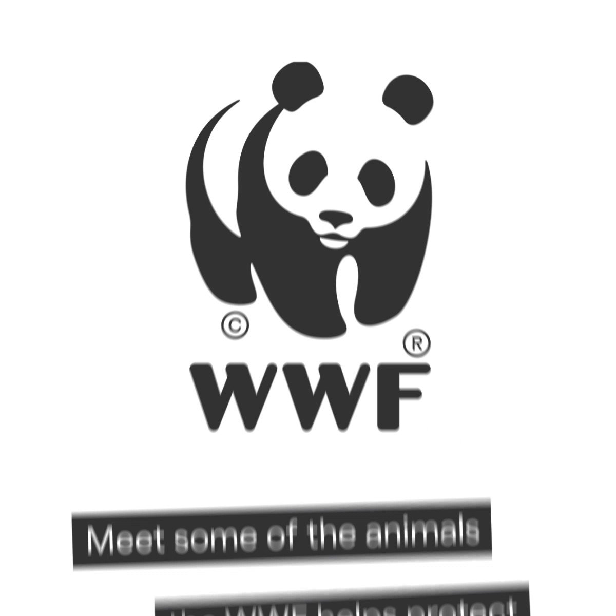 wwf россии картинки