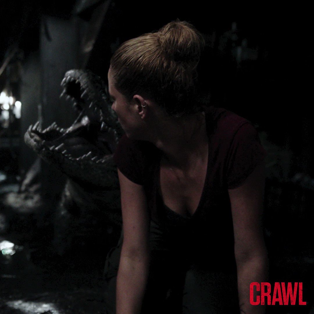 23+ crawl 2019 sinopsis