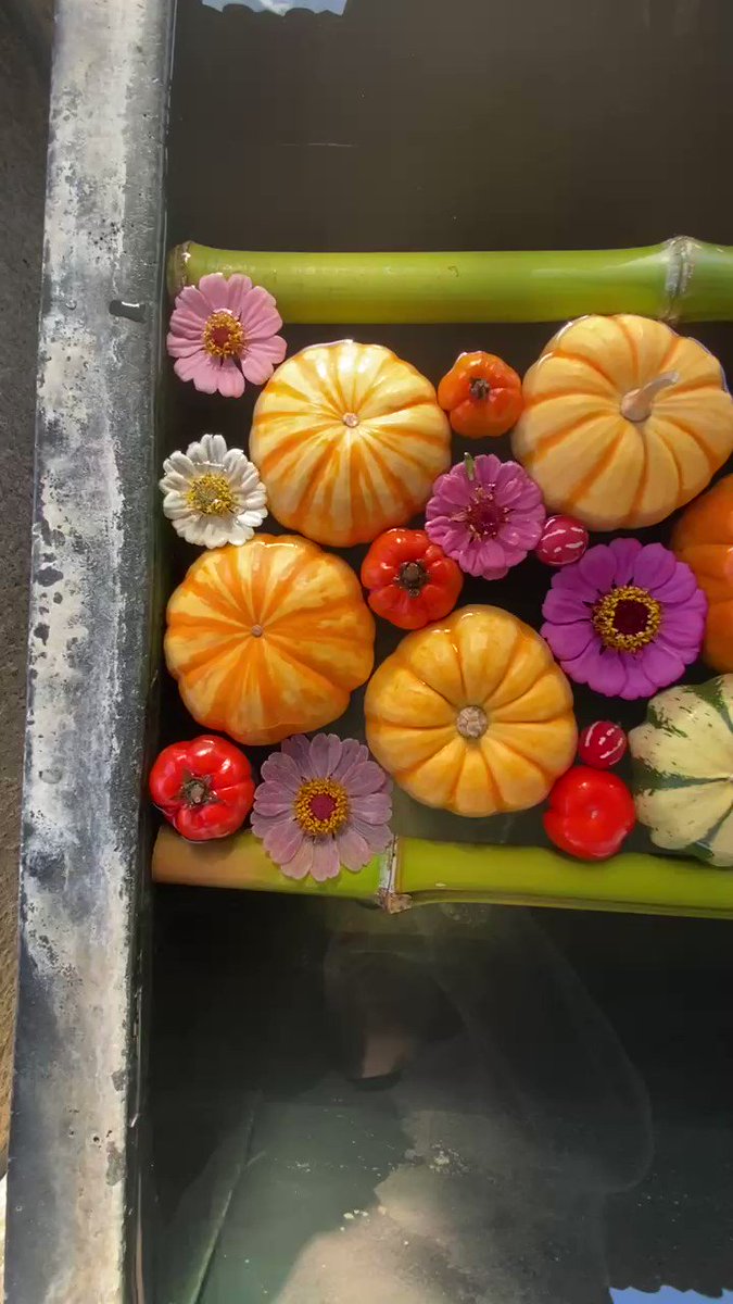 ハロウィン仕様で かぼちゃを浮かべた花手水がめちゃくちゃ可愛い お花とのコラボもこの時期だけなのでぜひ見てほしいです Togetter