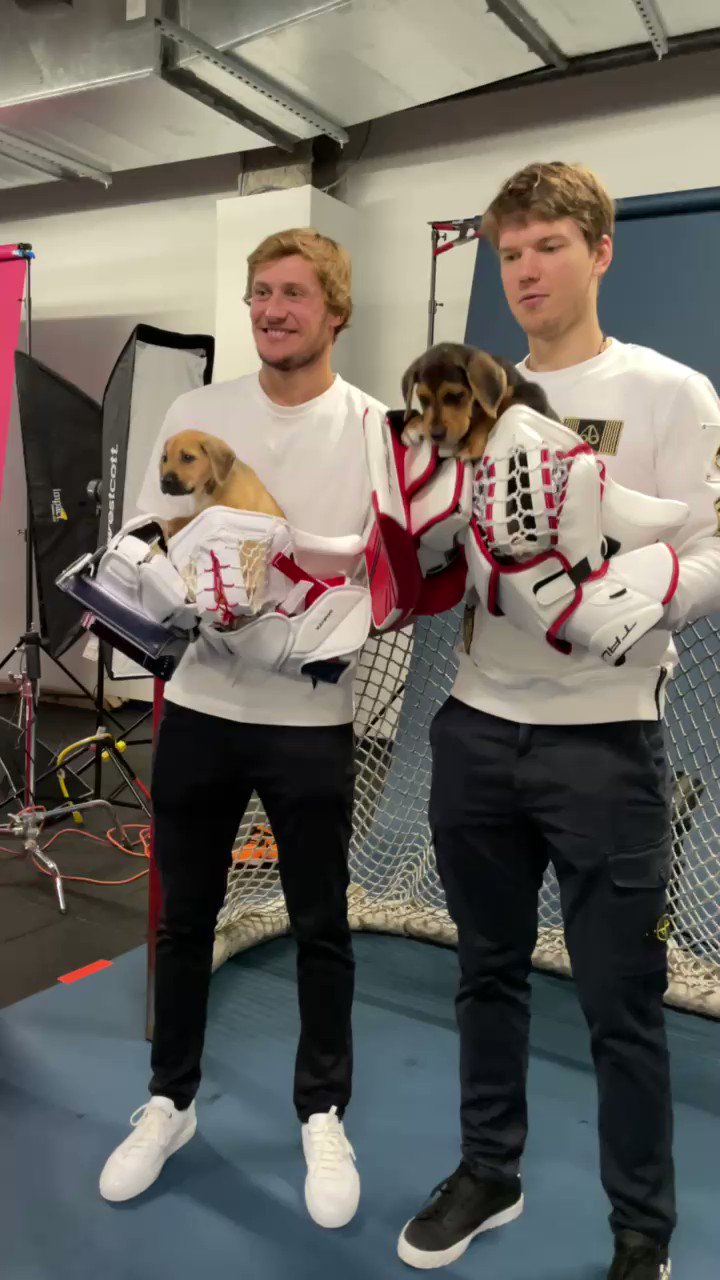 Washington Capitals on Twitter "He’s escaping! The puppy is escaping