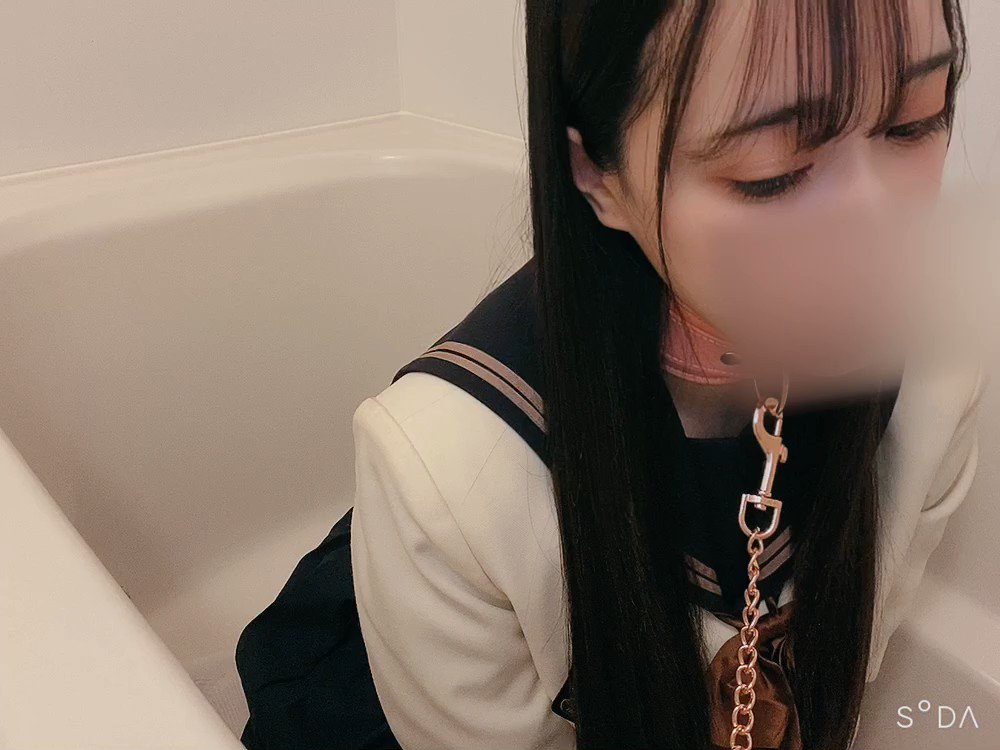 트위터, twitter - 딸플릭스