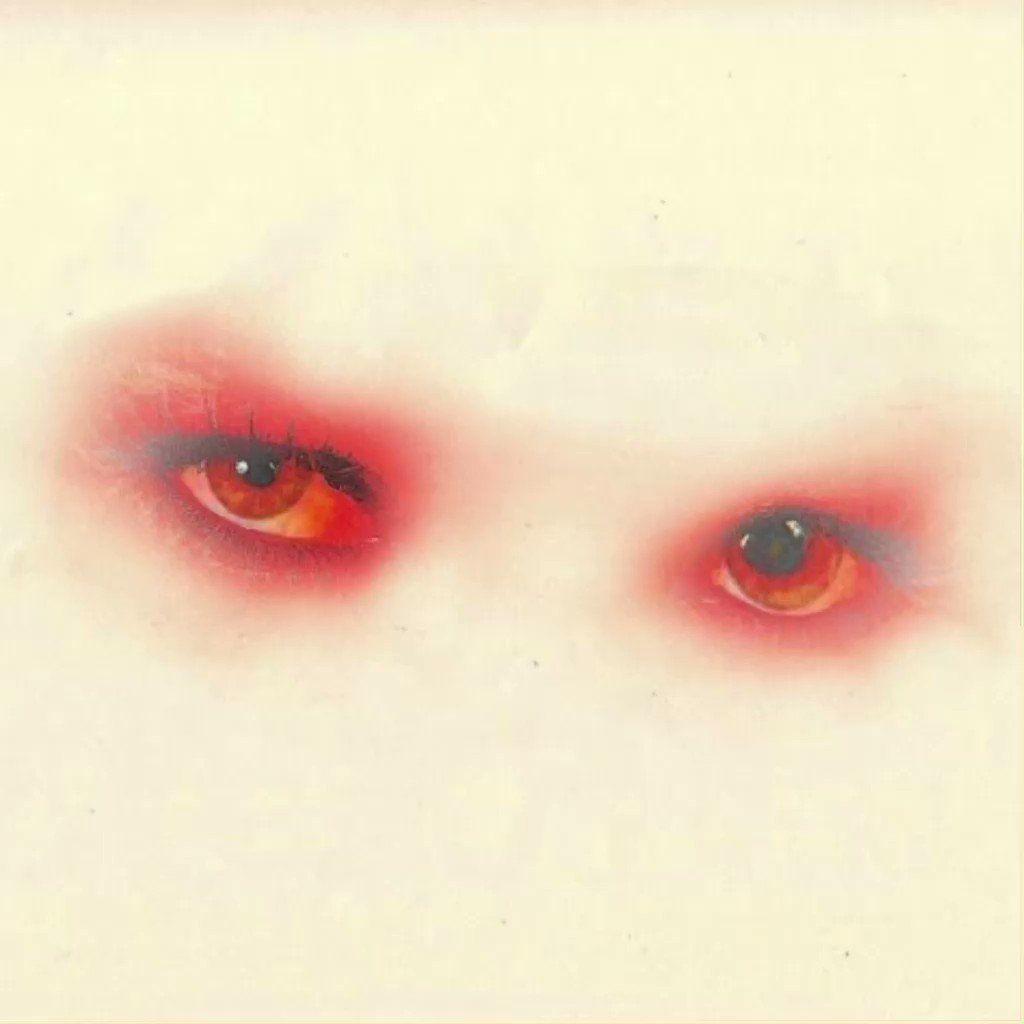 son nike o son reebok