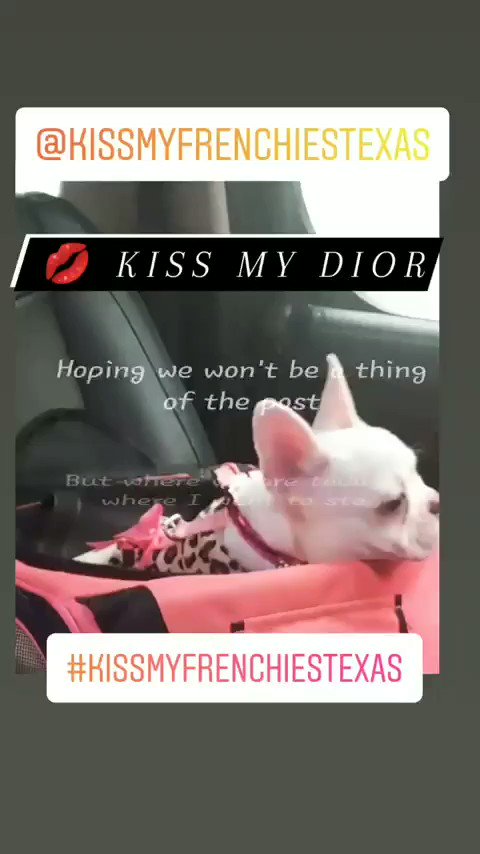 Kiss my shoes meme cheap