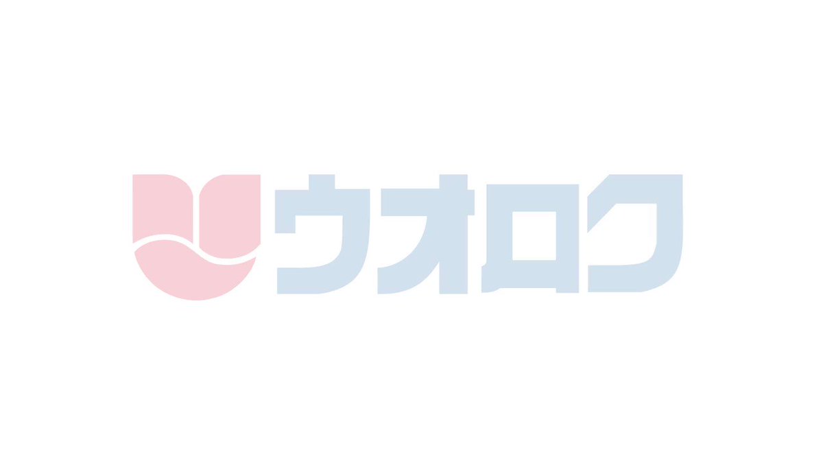 ウオロク公式 Uoroku Official Twitter ウオロク公式 Uoroku Official Twitter