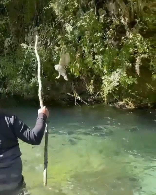 loving fishing on Twitter "Safe and Sound!💙 📽️ trout_hunter_27 /ig