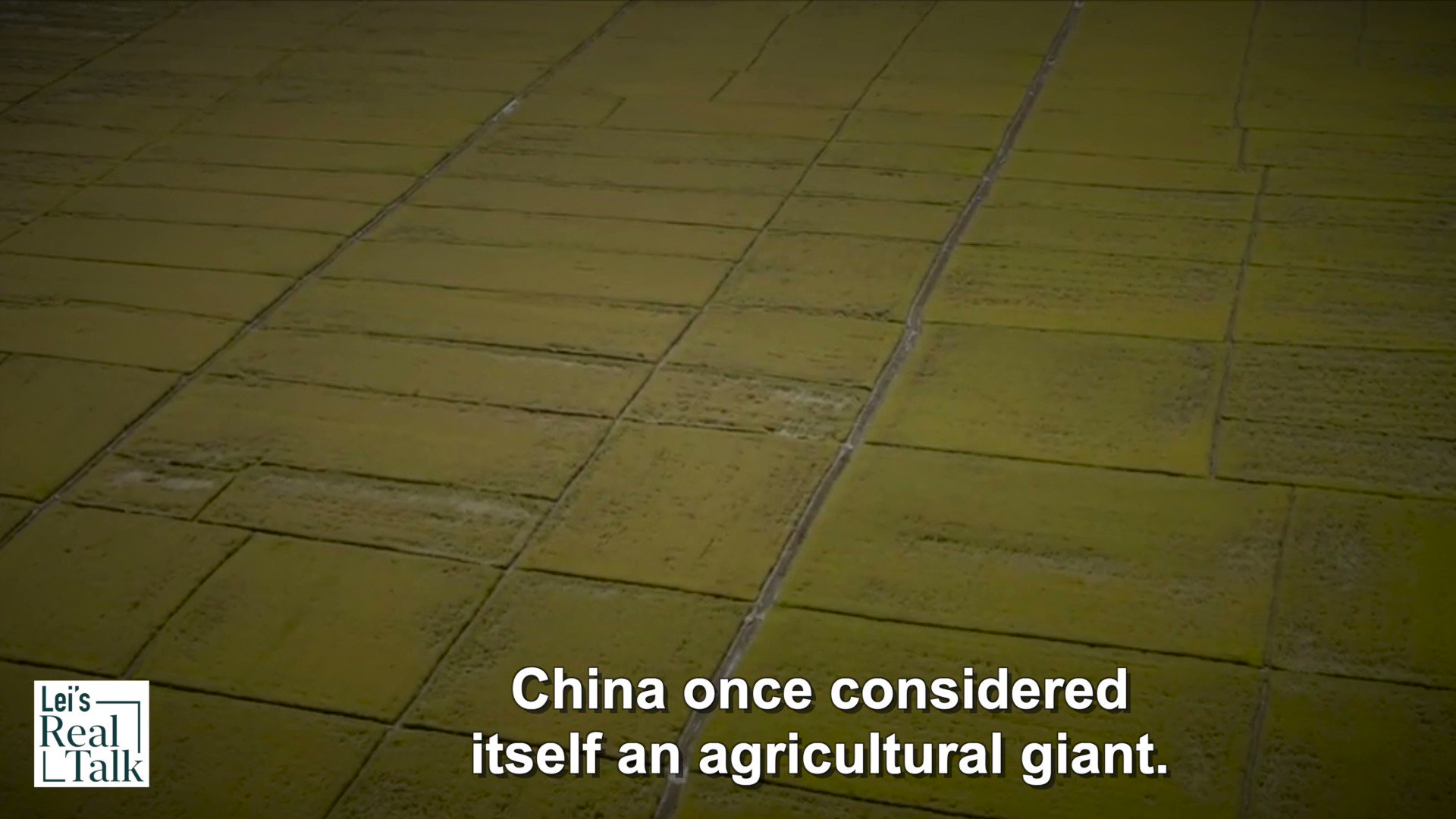 Lei's Real Talk on Twitter "Why did food prices go up? Why does China