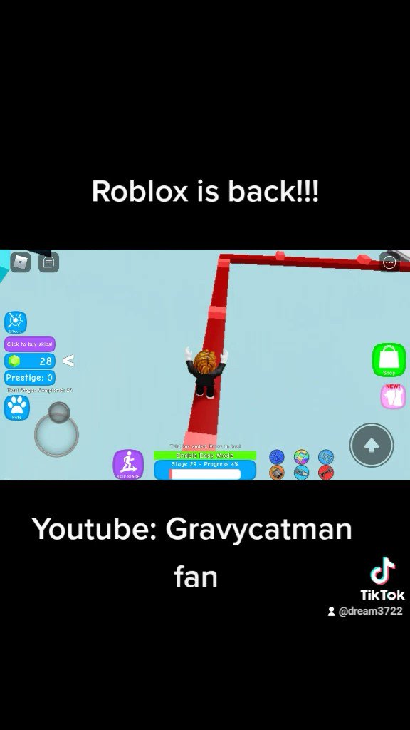 stealthinsane3 on X: roblox noob / X