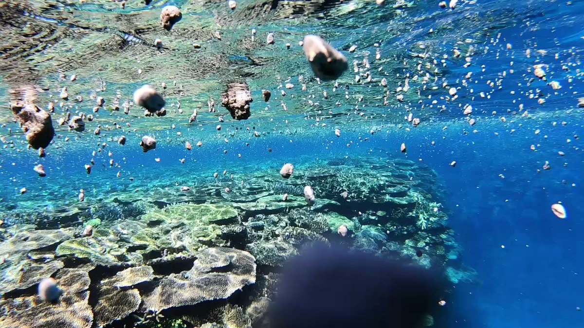 まるで宇宙みたいな光景！透明度が高い綺麗な沖縄の海！