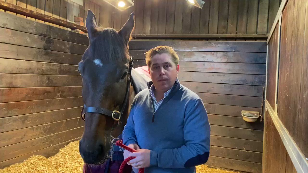 Ollie Williams (olliesjwilliams) / Twitter