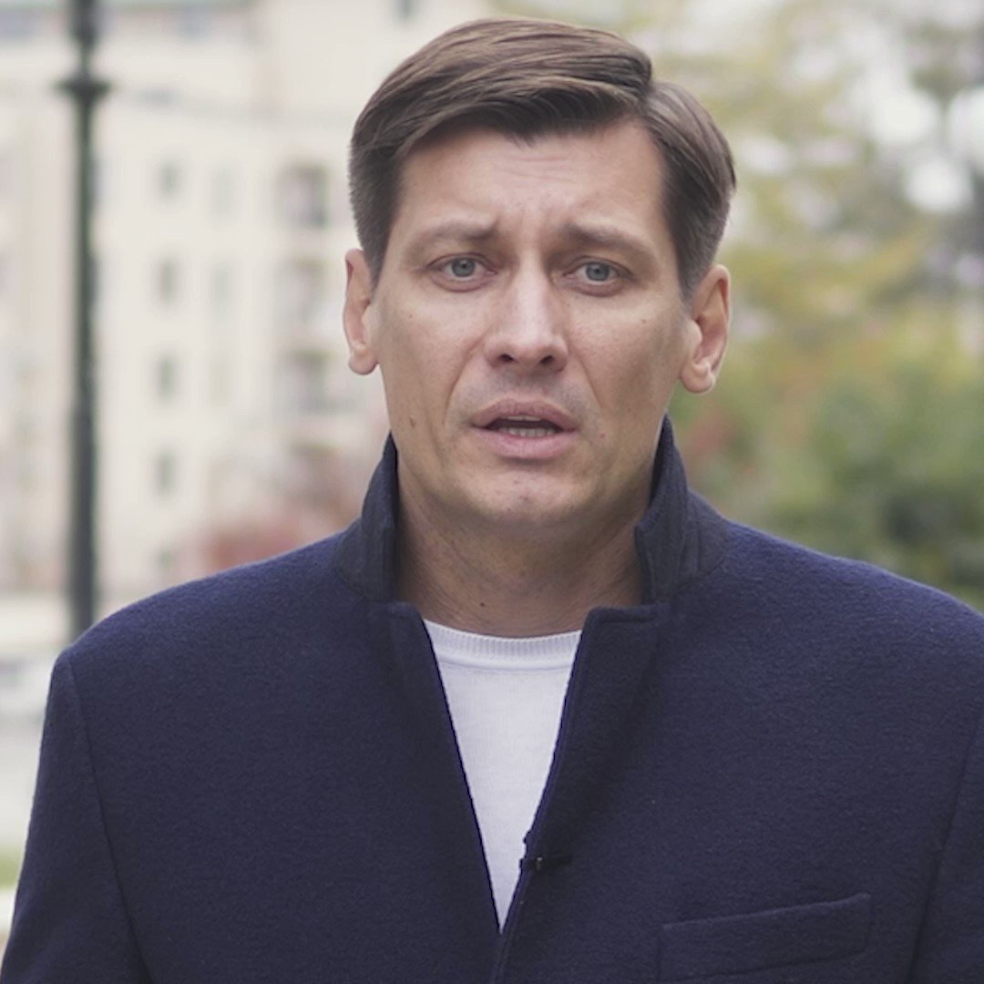 Дмитрий Гудков дети