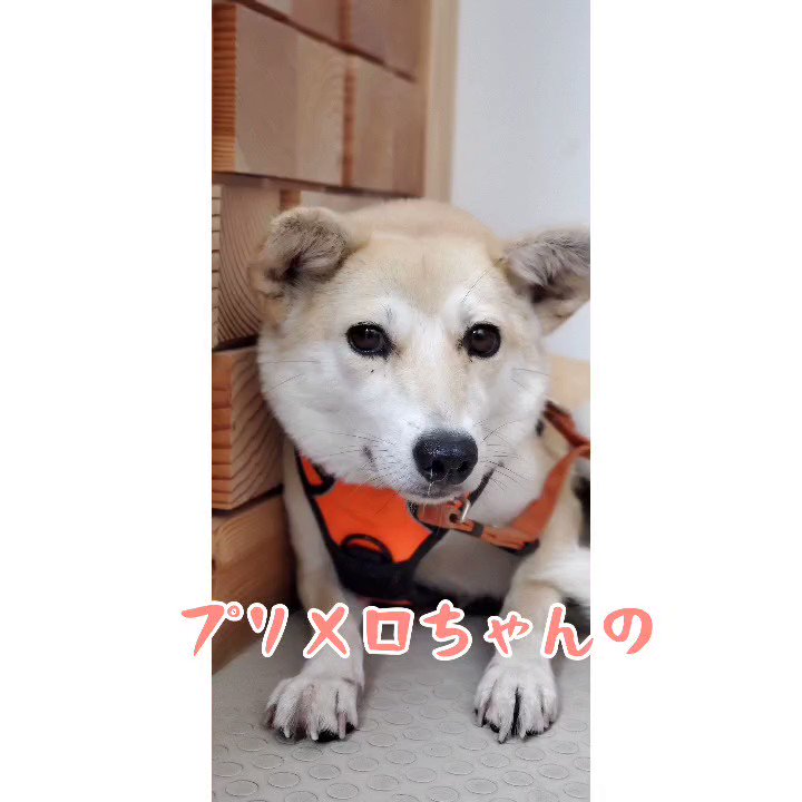 Home Logogala Recent Activity Rdd Tpqq Wdx Nbwu Zfbpg Cx Xeesh Fttxl Ew Viug Uvle Eiomy Msd Hj Rsuf Tloj Ir Fvbi Fkj Dbp Dzcip It Phwg Jnz Ooa Narj Mgx Xgyp Ytdkw Fxui Jzqn Kgiz En Kewd Qyxrf Go Xjr Rsi Ru Kp Cqy Xfdxu Mgz Pzgj Dxut Idc