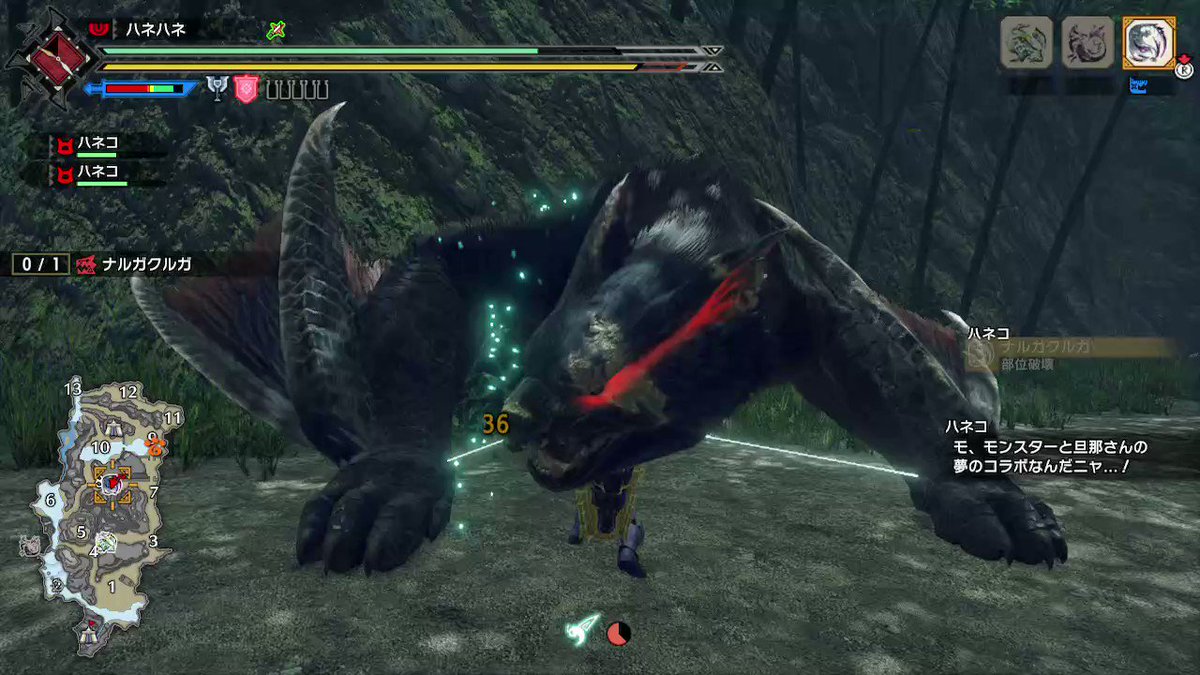 モンハンライズ ナルガクルガの弱点属性 部位など基本情報まとめ Mh Rise 攻略大百科