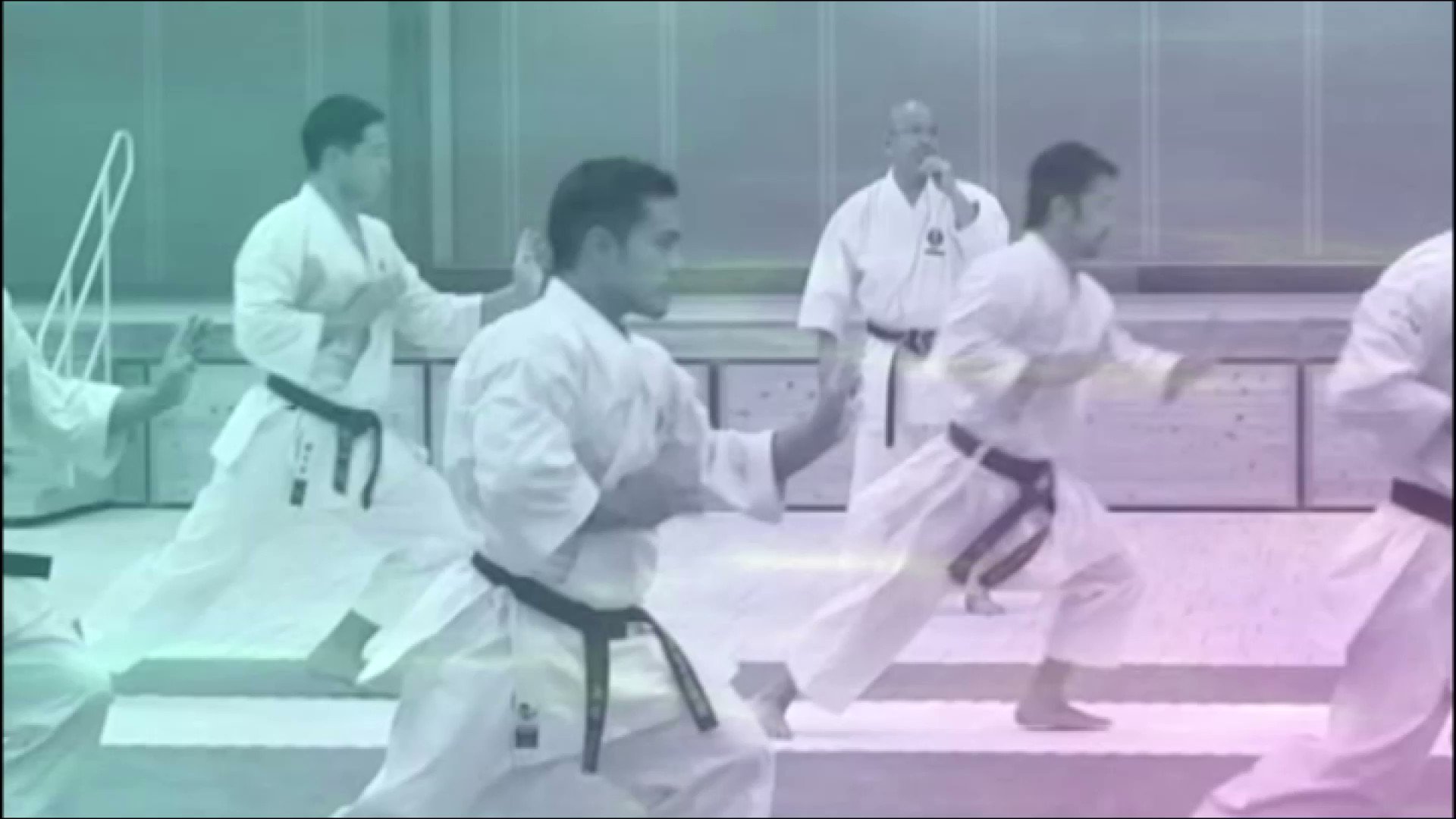 空手道マガジンjkfan Al Twitter オンライン道場gen空手 特別演武がかっこいい 観てほしい 劉衛流 Karateセミナー 世界王者 たちの 形 極意 06 09 セーパイ 一部公開 続きは下記より T Co Kl0zmdju1c T Co Oligi3dnp0 Twitter