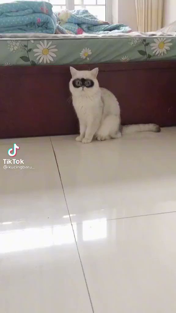 @oreyongu0027s video Tweet