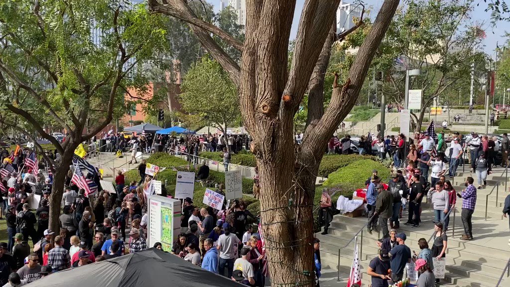 EPIC: Thousands Rally In Los Angeles To Protest Vaccine Mandates 0uHo53WoX7K9wWnj