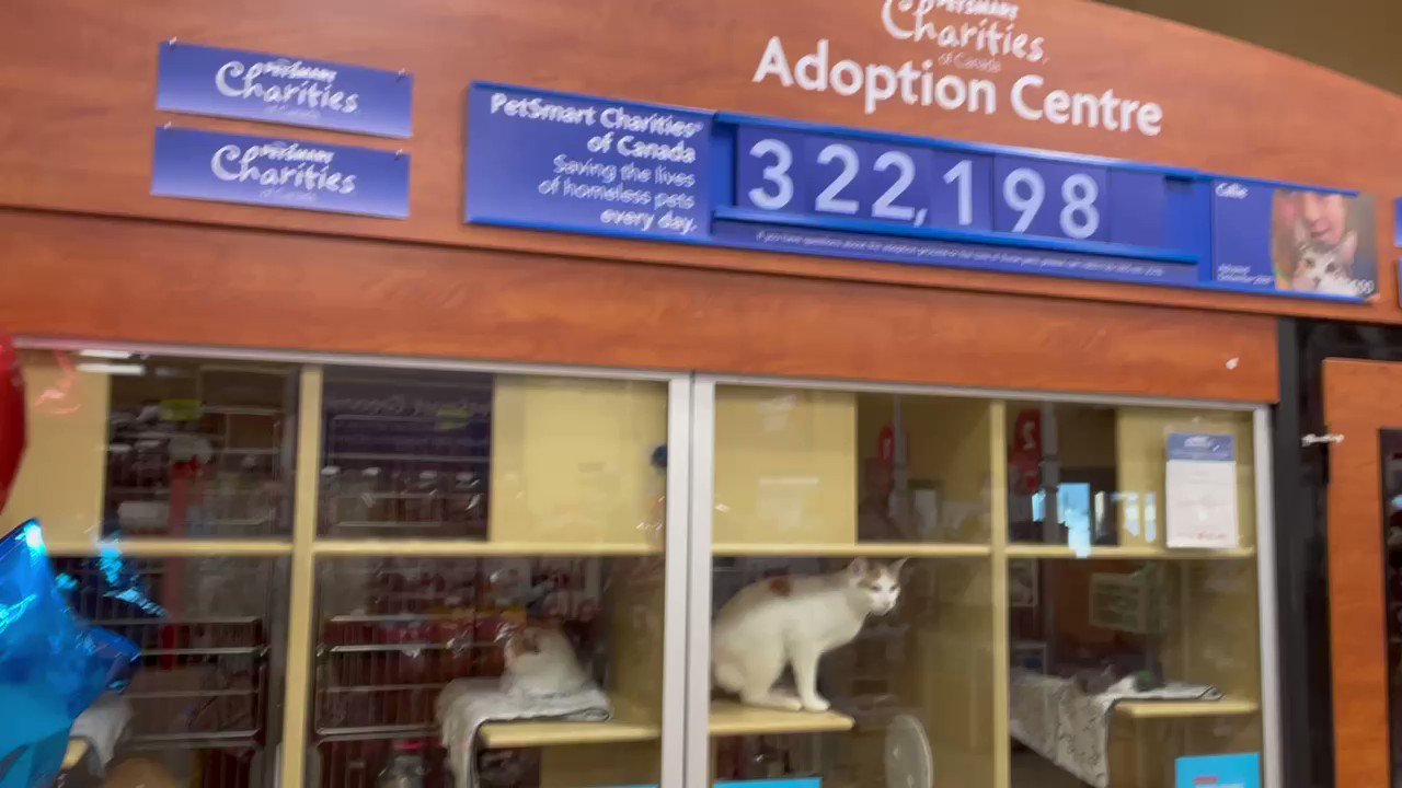 Petsmart guelph outlet