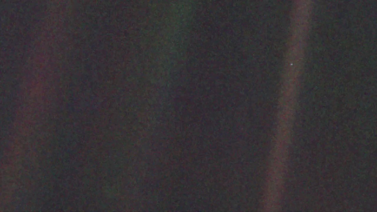 Ya! Happy Bday Carl Sagan!  