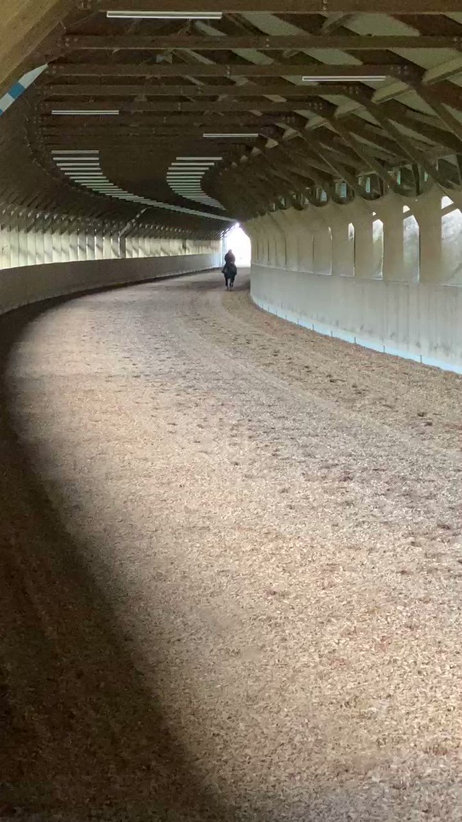 #ディオブルネッタ
坂路で14秒ペースで時計を出しました。ショックウェーブでのケアも行っています。 