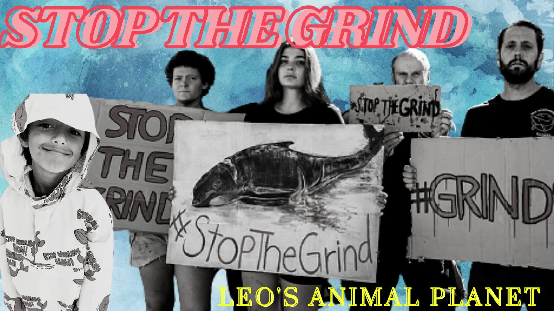 Leo's Animal Planet 🐬 on Twitter: Leo's Animal Planet 🐬 on Twitter: