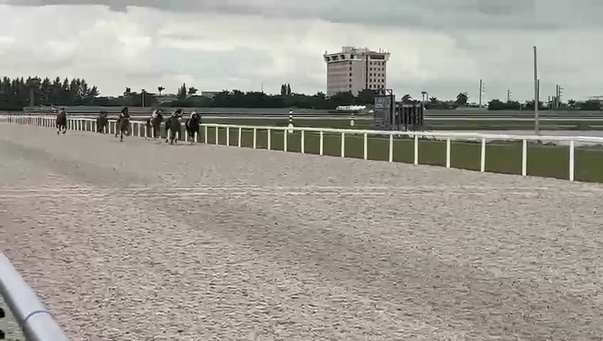 RT @GulfstreamPark: The gray Alittleloveandluck (outside) hit the wire first in the 6th eace! #GulfstreamPark https://t.co/8F2iYGGhMV