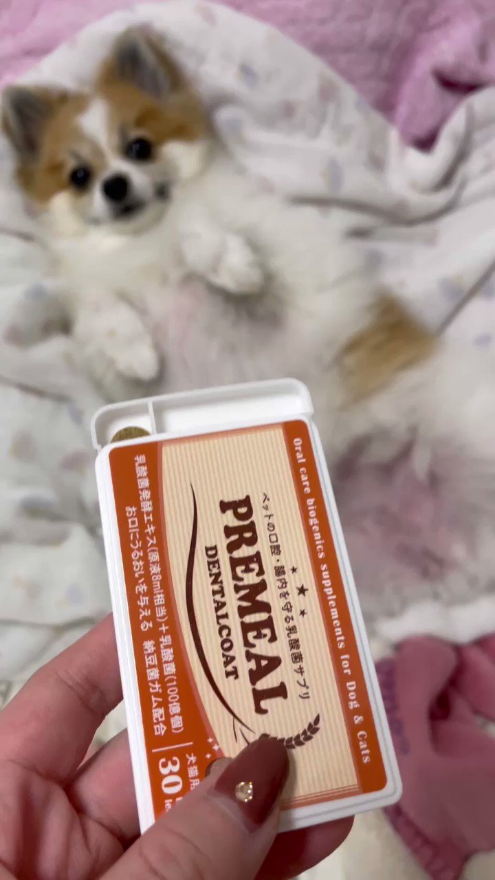 Follow Premeal 乳酸菌発酵エキス S Premeal1 Latest Tweets Twitter