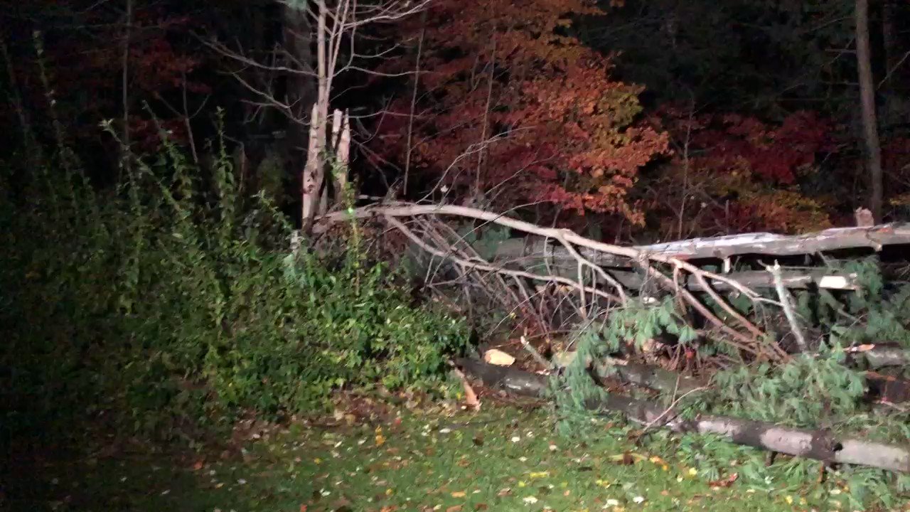 Dominique Moody on Twitter "WATCH Greg St. Martin captured this video moments before trees in